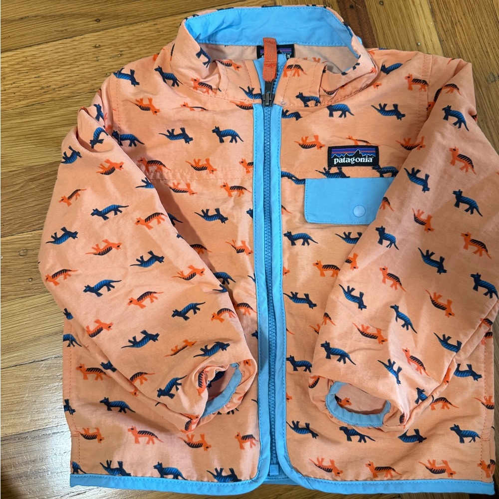 Patagonia windbreaker